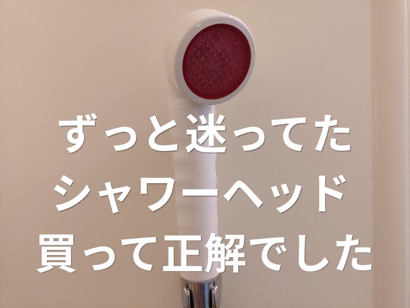 ずっと迷ってたシャワーヘッド買って正解でした